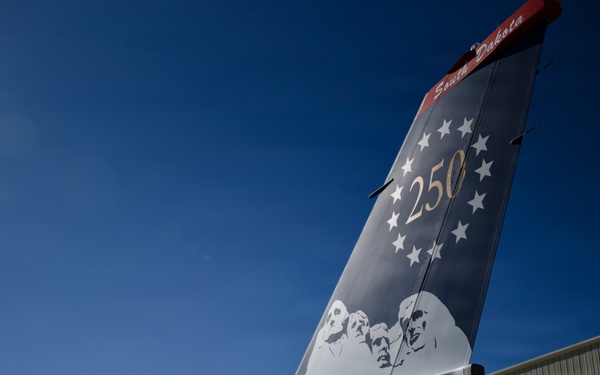114th Fighter Wing's 250th Anniversary Tail