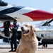 Furry friend on flight line; therapy dog Eleanor visits USAF Thunderbirds