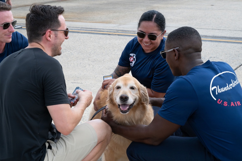 Furry friend on flight line; therapy dog Eleanor visits USAF Thunderbirds