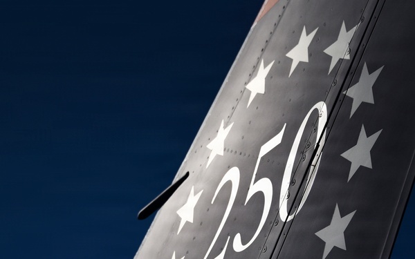 114th Fighter Wing's 250th Anniversary Tail