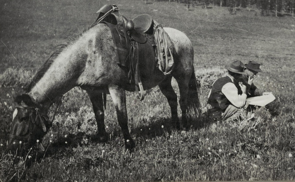 Forest Service Grazing Archive Photo