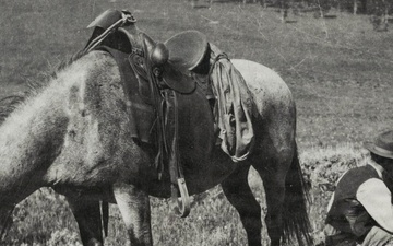 Forest Service Grazing Archive Photo