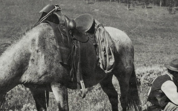 Forest Service Grazing Archive Photo