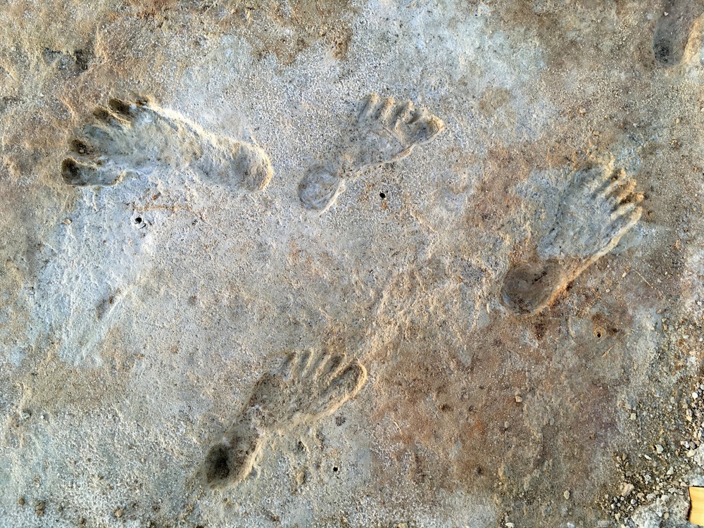 Ancient Footprints