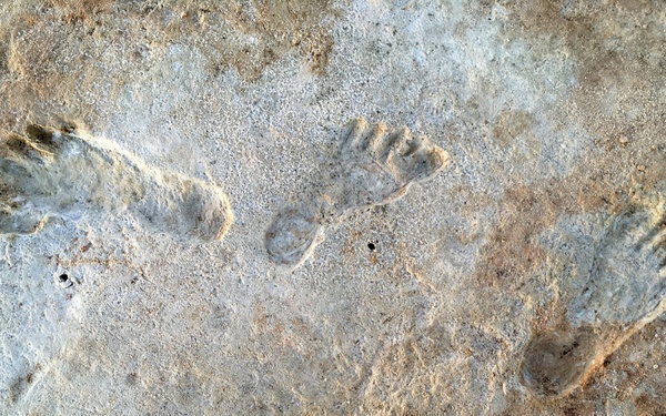 Ancient Footprints
