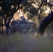 Southern Jackaroo 26: MRF-D Marines conduct offense drills
