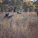 Southern Jackaroo 26: MRF-D Marines conduct offense drills