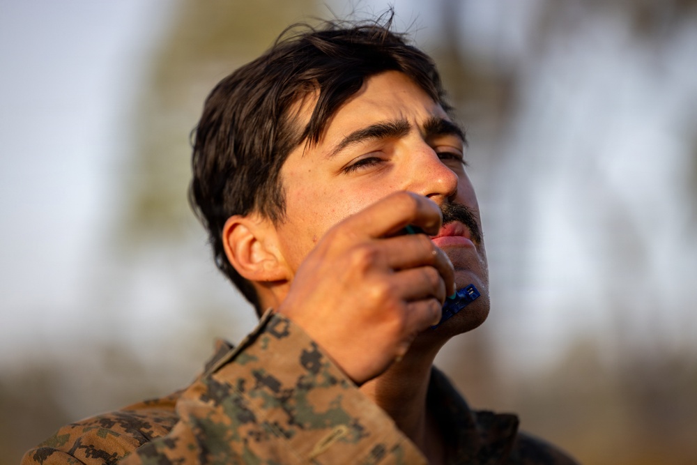 Southern Jackaroo 26: MRF-D Marines conduct offense drills