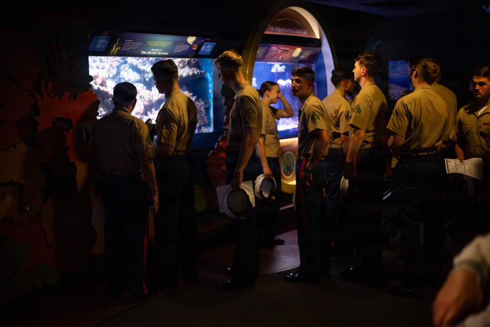 INR 250 New York Aquarium visit