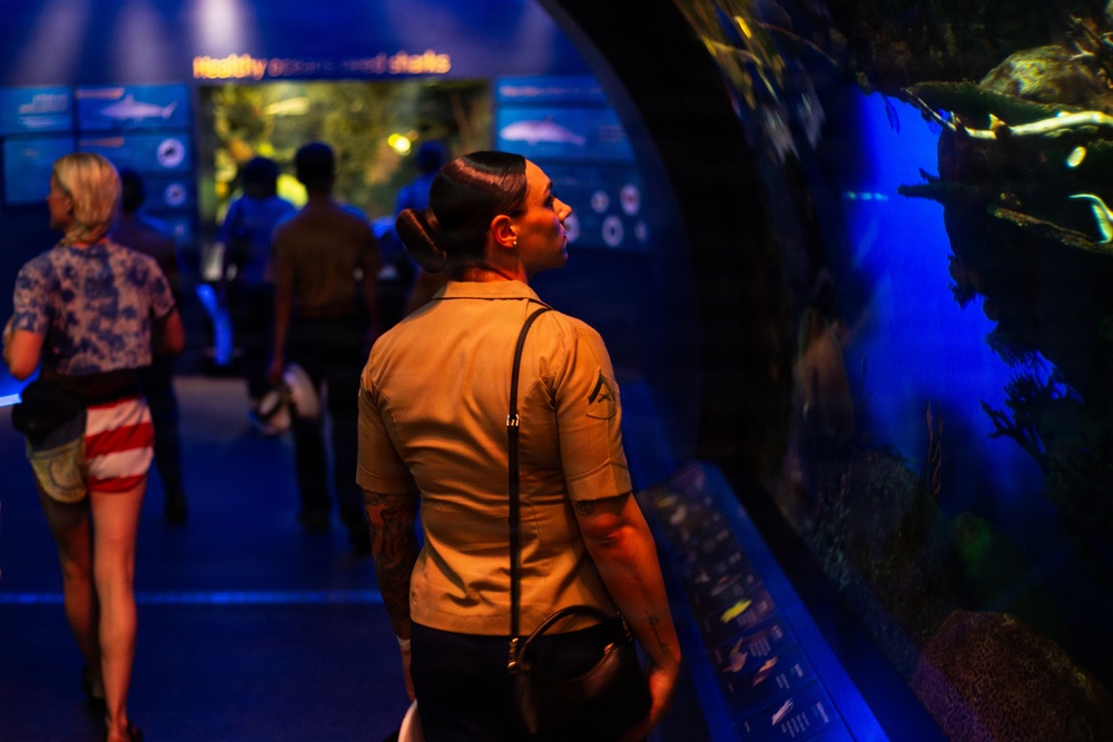 INR 250 New York Aquarium visit