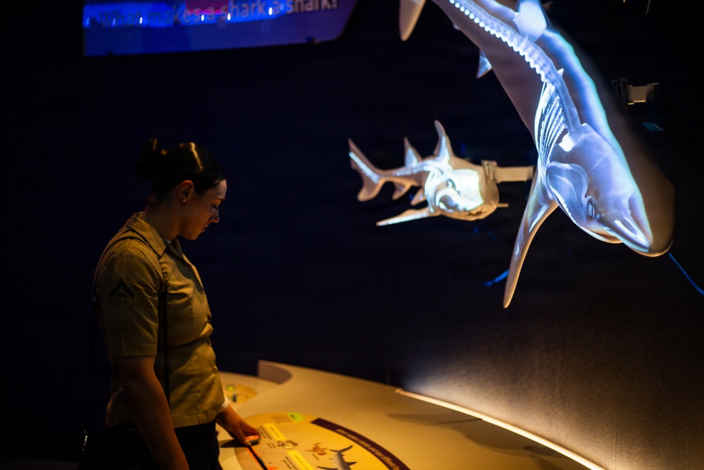 INR 250 New York Aquarium visit