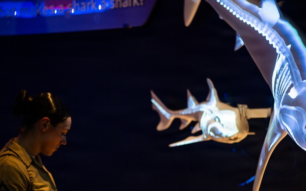 INR 250 New York Aquarium visit