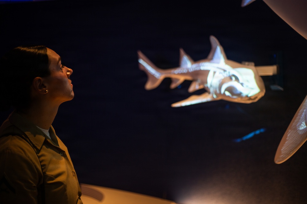 INR 250 New York Aquarium visit