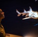 INR 250 New York Aquarium visit