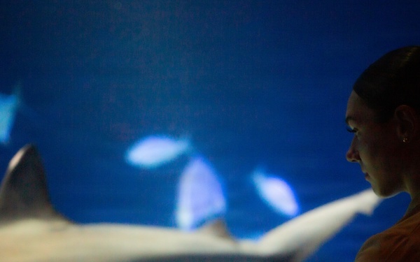 INR 250 New York Aquarium visit