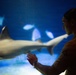 INR 250 New York Aquarium visit