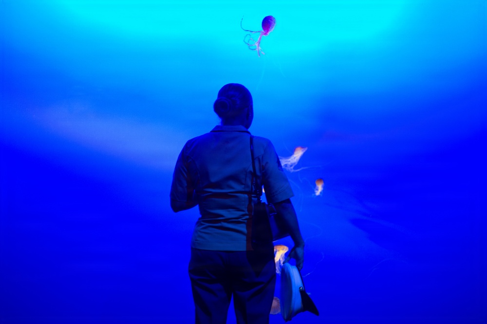 INR 250 New York Aquarium visit