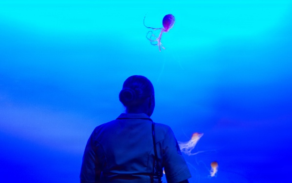 INR 250 New York Aquarium visit