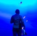 INR 250 New York Aquarium visit