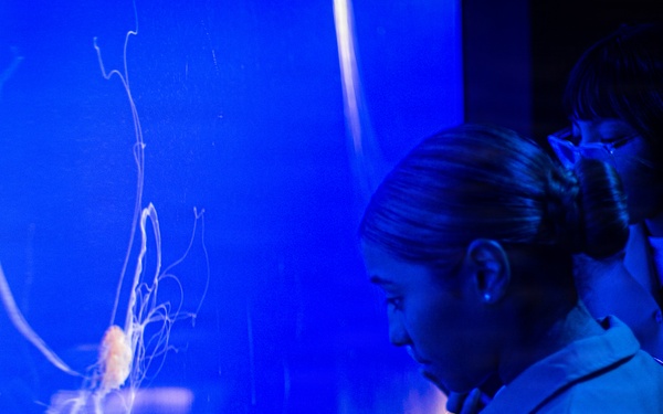 INR 250 New York Aquarium visit