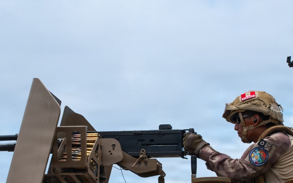 U.S. Marines, partner nations conduct live-fire range