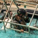 Peruvian, Philippine marines conduct shallow underwater egress training