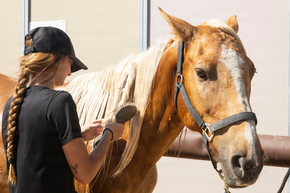 Mounted Color Guard Operations