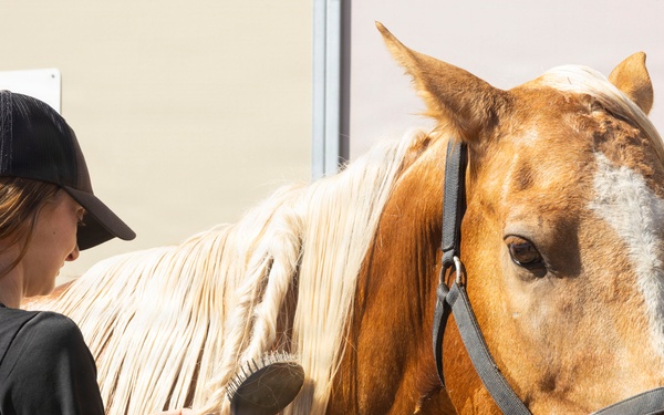 Mounted Color Guard Operations