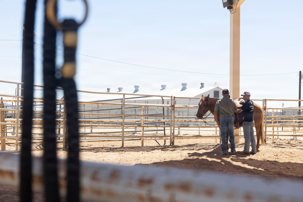 Mounted Color Guard Operations