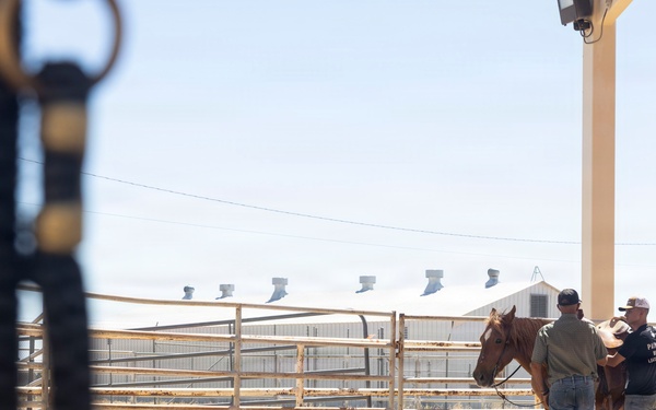 Mounted Color Guard Operations