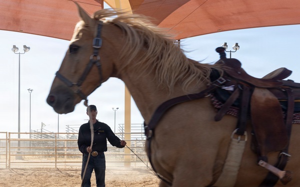 Mounted Color Guard Operations