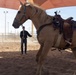 Mounted Color Guard Operations
