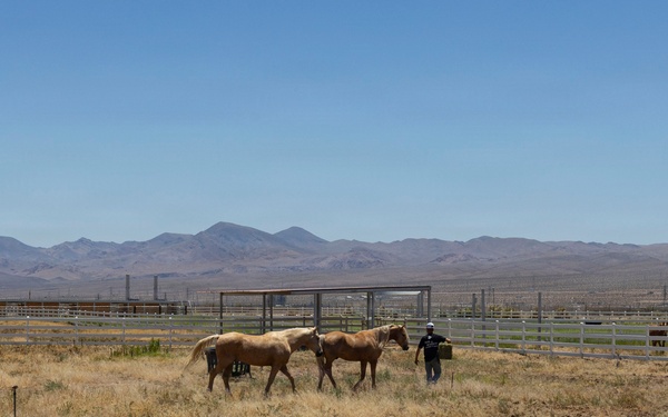 Mounted Color Guard Operations