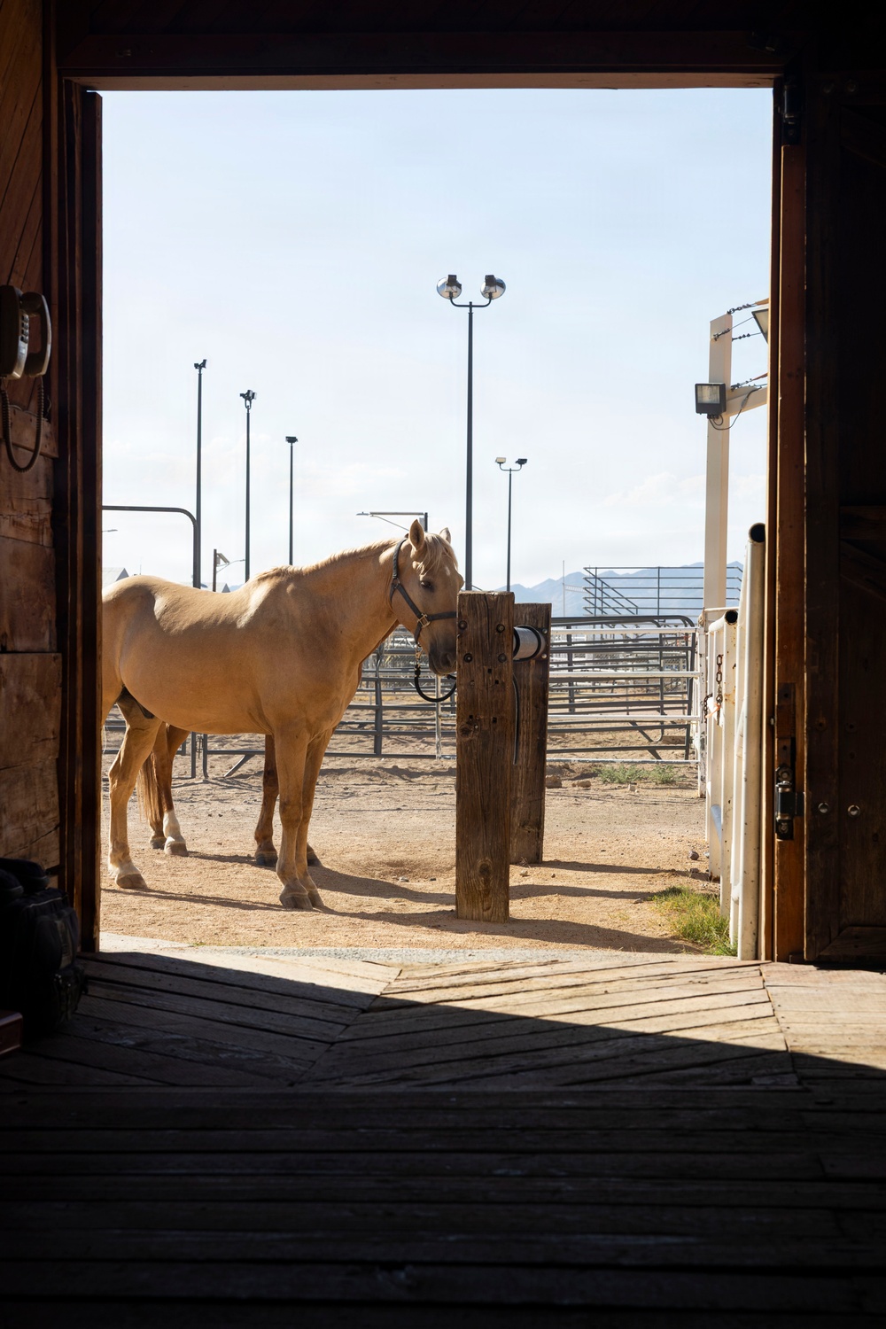 Mounted Color Guard Operations