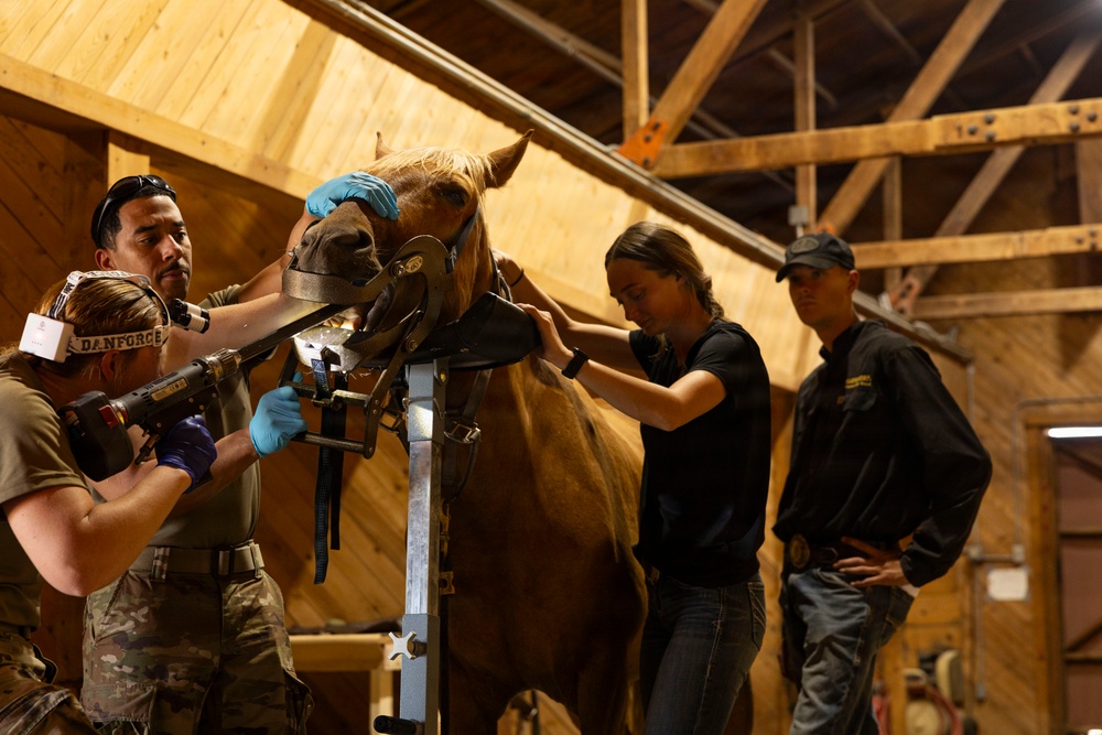 Mounted Color Guard Operations