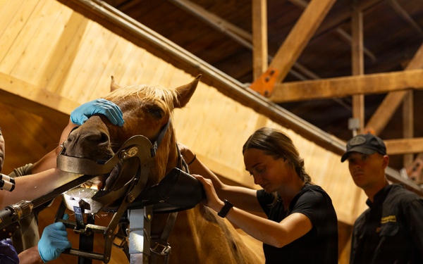 Mounted Color Guard Operations
