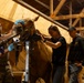 Mounted Color Guard Operations