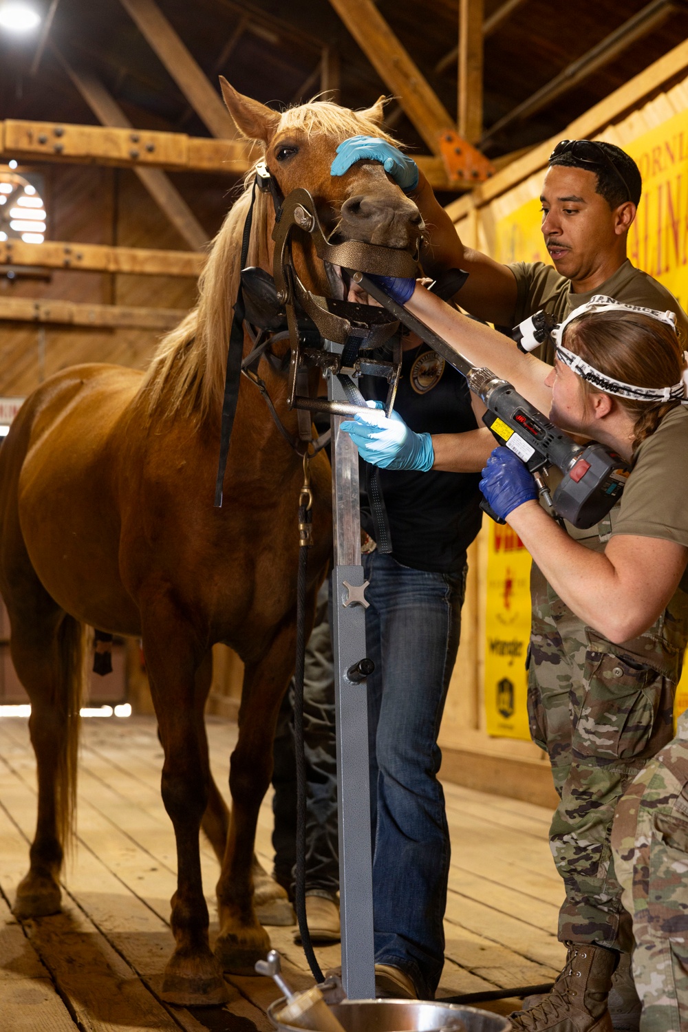 Mounted Color Guard Operations