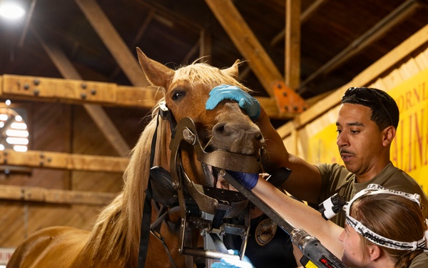 Mounted Color Guard Operations