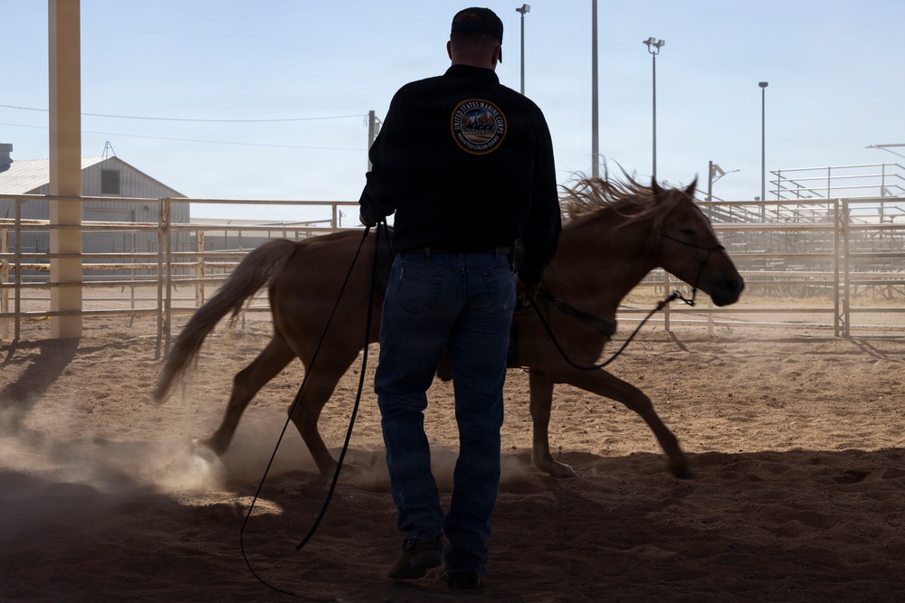 Mounted Color Guard Operations