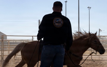 Mounted Color Guard Operations