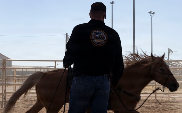 Mounted Color Guard Operations