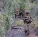 Southern Jackaroo 26: MRF-D Marines conduct platoon attack exercise