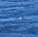 U.S. forces partner with New Zealand in EOD exercise during RIMPAC 26