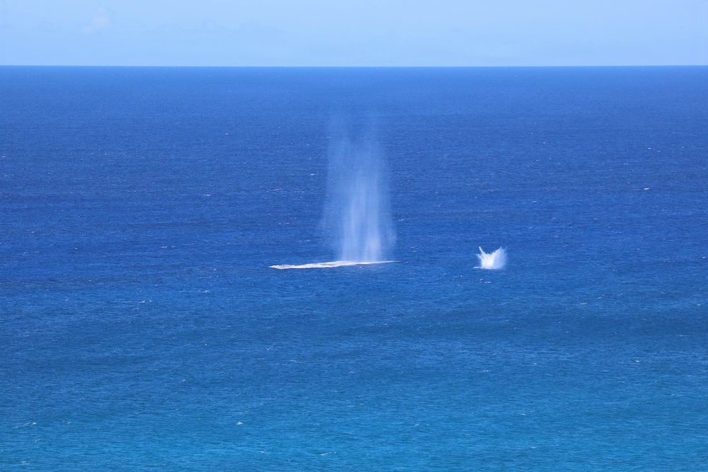 U.S. forces partner with New Zealand in EOD exercise during RIMPAC 26