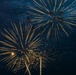 Freedom Fest 250 lights up the sky bringing a taste from home to Soldiers in Poland