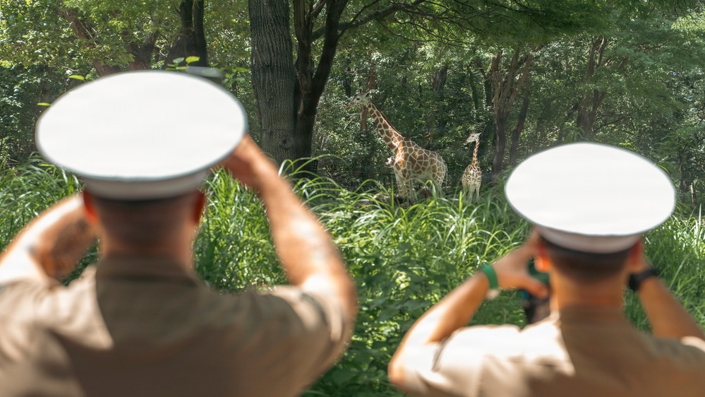 Sailors and Marines from USS Arlington Visit the Bronx Zoo