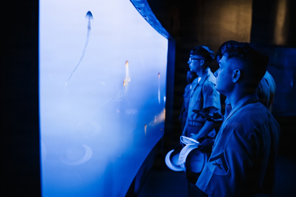 U.S. Marines Visit New York Aquarium