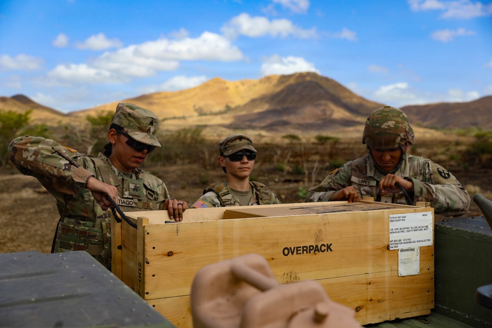 1600th EOD Company Perform Disposal Operations