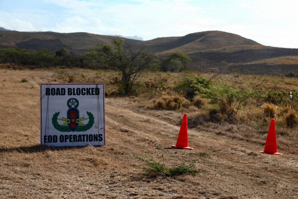 1600th EOD Company Perform Disposal Operations